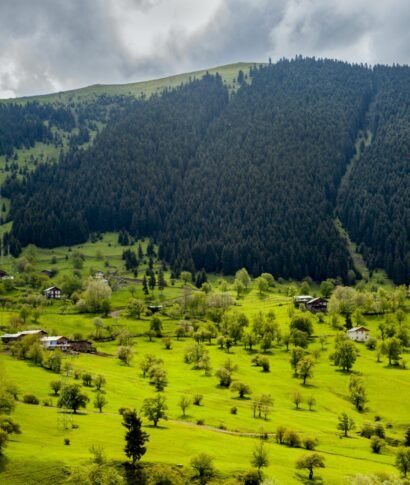 An aerial shot of the village houses on the beautiful grass covered fields